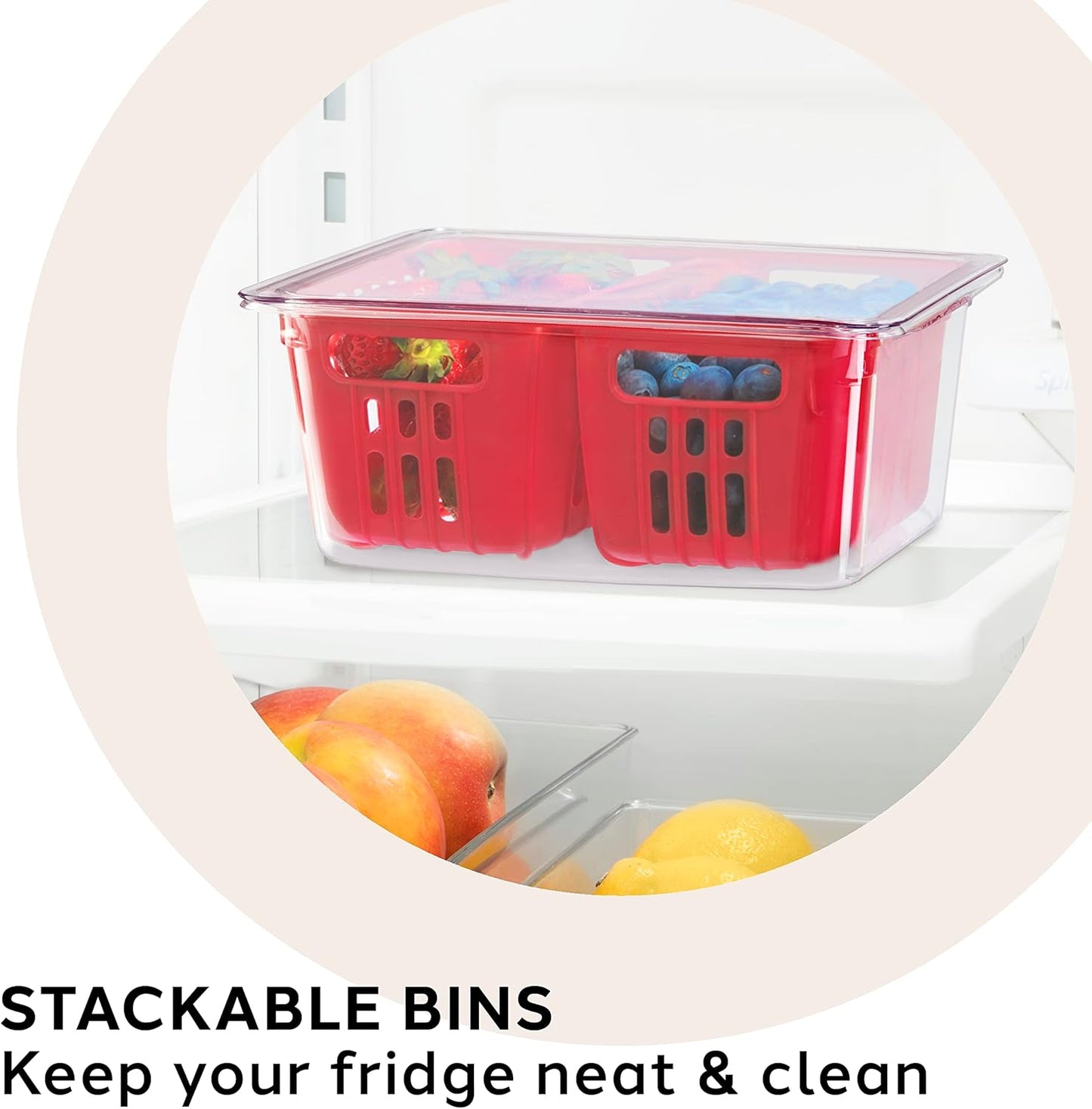 5169 Berry Bin - Single Basket, Red
