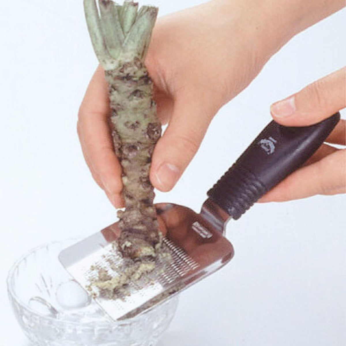 Japanese Grater with Handle for Wasabi Radish Garlic Ginger Stainless Steel