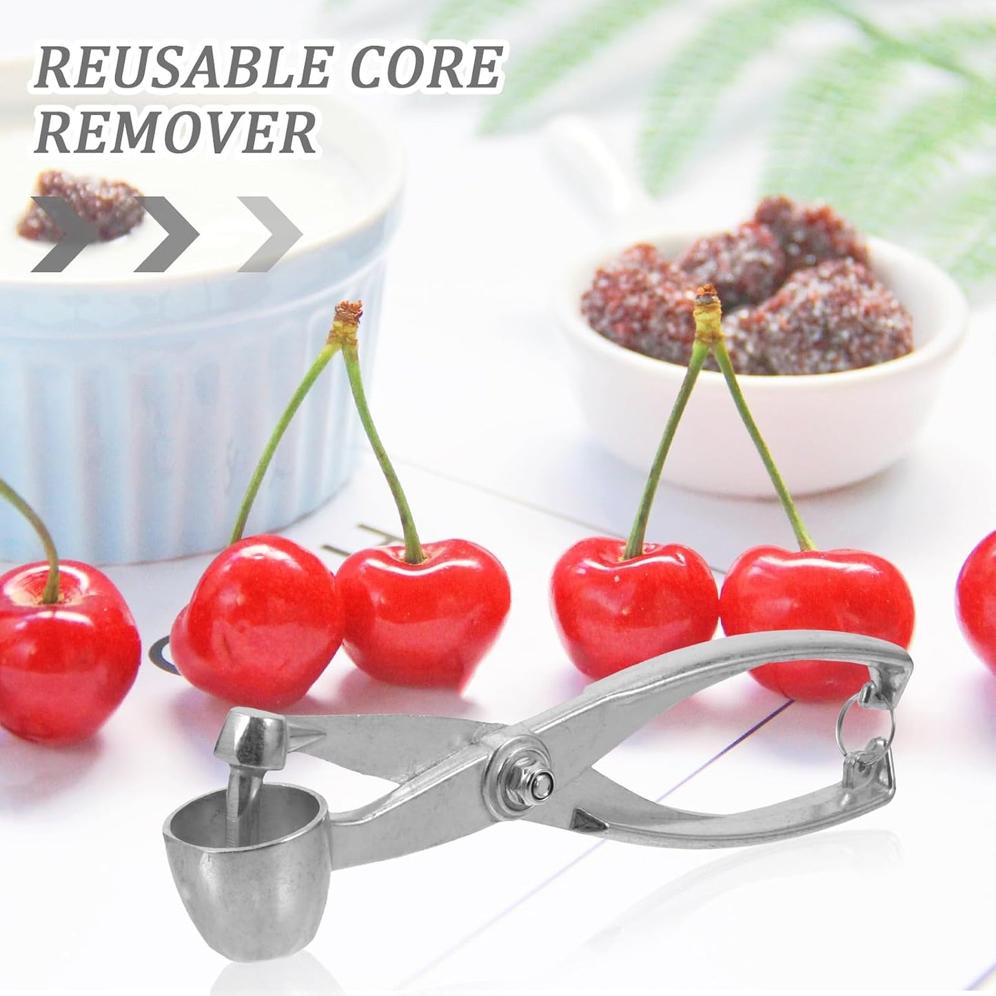 Cherry Pitter Red Date Core Remover Wear-resistant Olive Pitter Portable Kitchen Accessory for Daily Use Core Remover Tool