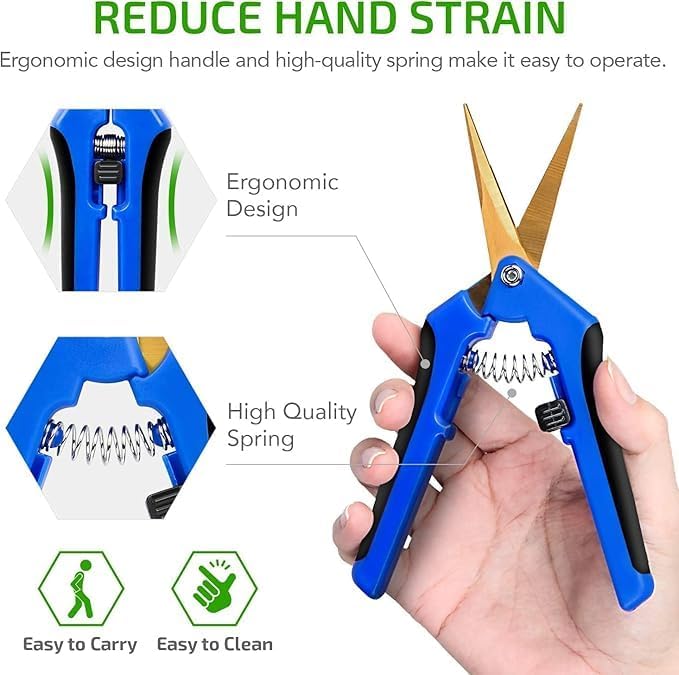 6.5 Inch Garden Hand Pruner Shears with Straight Stainless Steel Scissors, for Hydroponic Trimming Herb/Flowers/Vegetables/Plants, Blue, 1-Pack