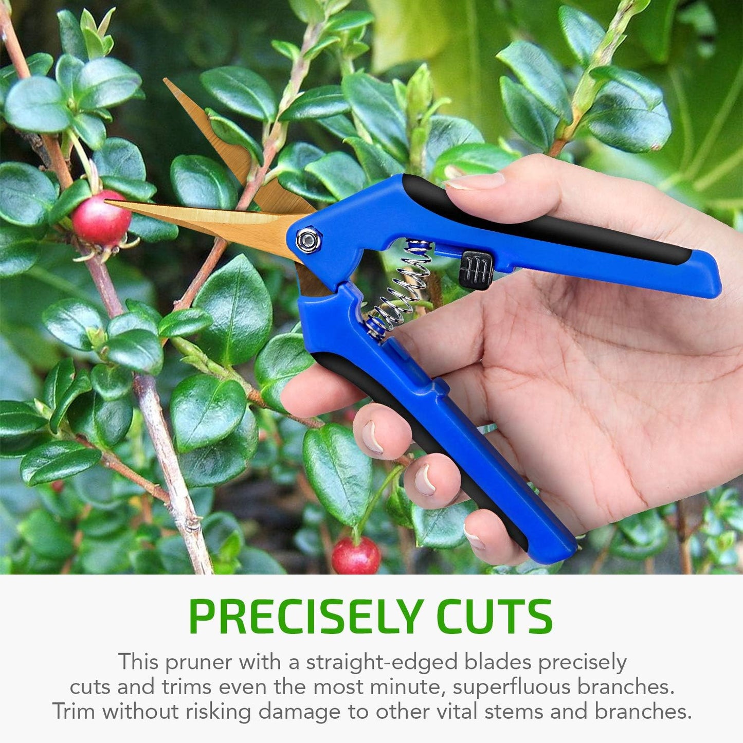 6.5 Inch Garden Hand Pruner Shears with Straight Stainless Steel Scissors, for Hydroponic Trimming Herb/Flowers/Vegetables/Plants, Blue, 1-Pack