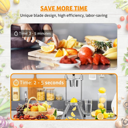 Fruit Cutter Blade, Stainless Steel Fruit Slicer for Apples Pears Oranges Detachable Lemon Cutter Wedge Tool Easy Clean Replacement Blade for Fruit Dicing Machine (8 Section)