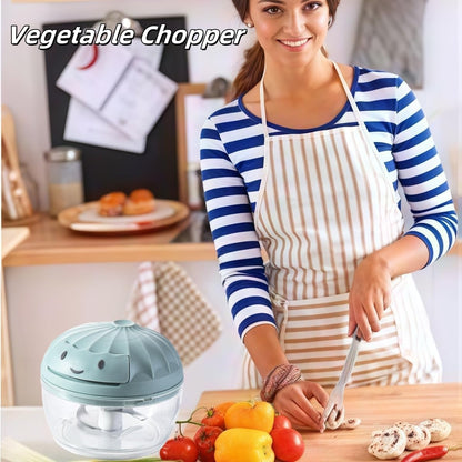 Manual Food Processor Vegetable Chopper, Mini Hand Pull String Garlic Chopper Onion Cutter for Veggies, Ginger, Fruits, Nuts, Avocado, garlic etc., Food Safe Material, 160ml (blue)