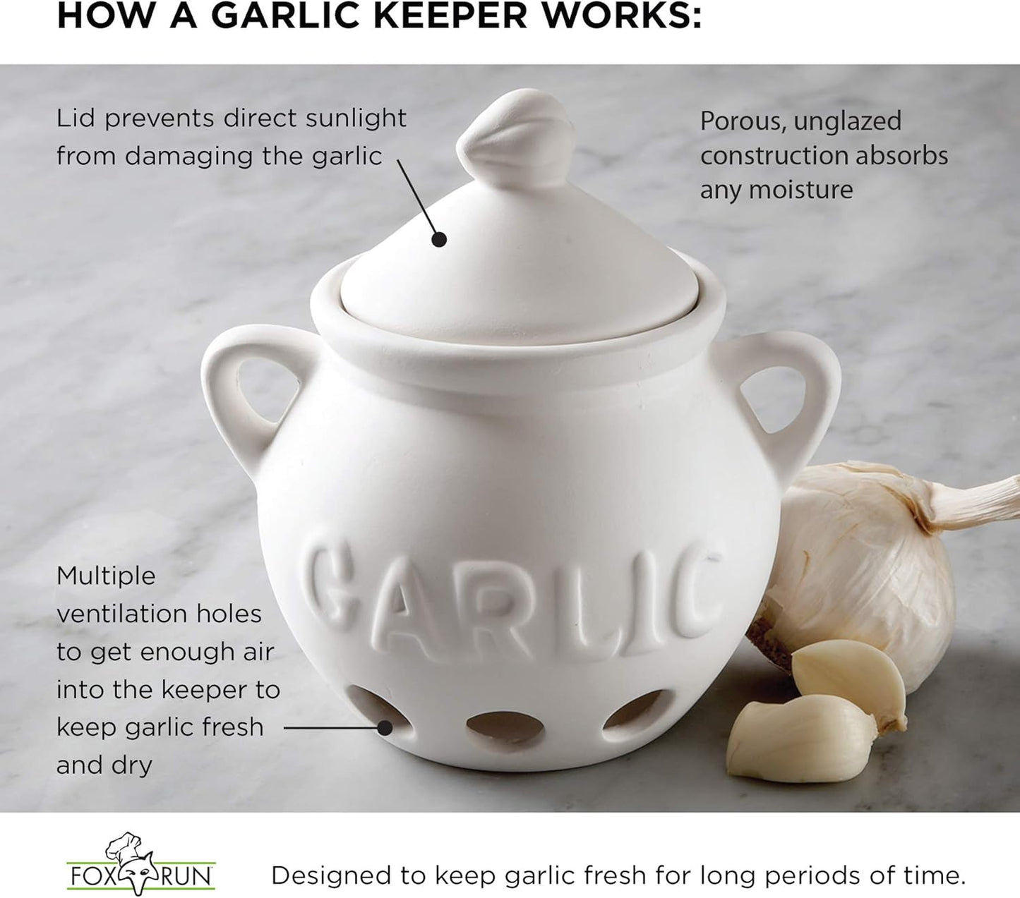 Fox Run Garlic Keeper and Storage, White Ceramic, 5.25" x 4.25" x 5.5" | For Small & Medium Sized Bulbs | Keep Garlic Fresh & Ready to Use | Holes for Airflow | Garlic Holder For Countertop