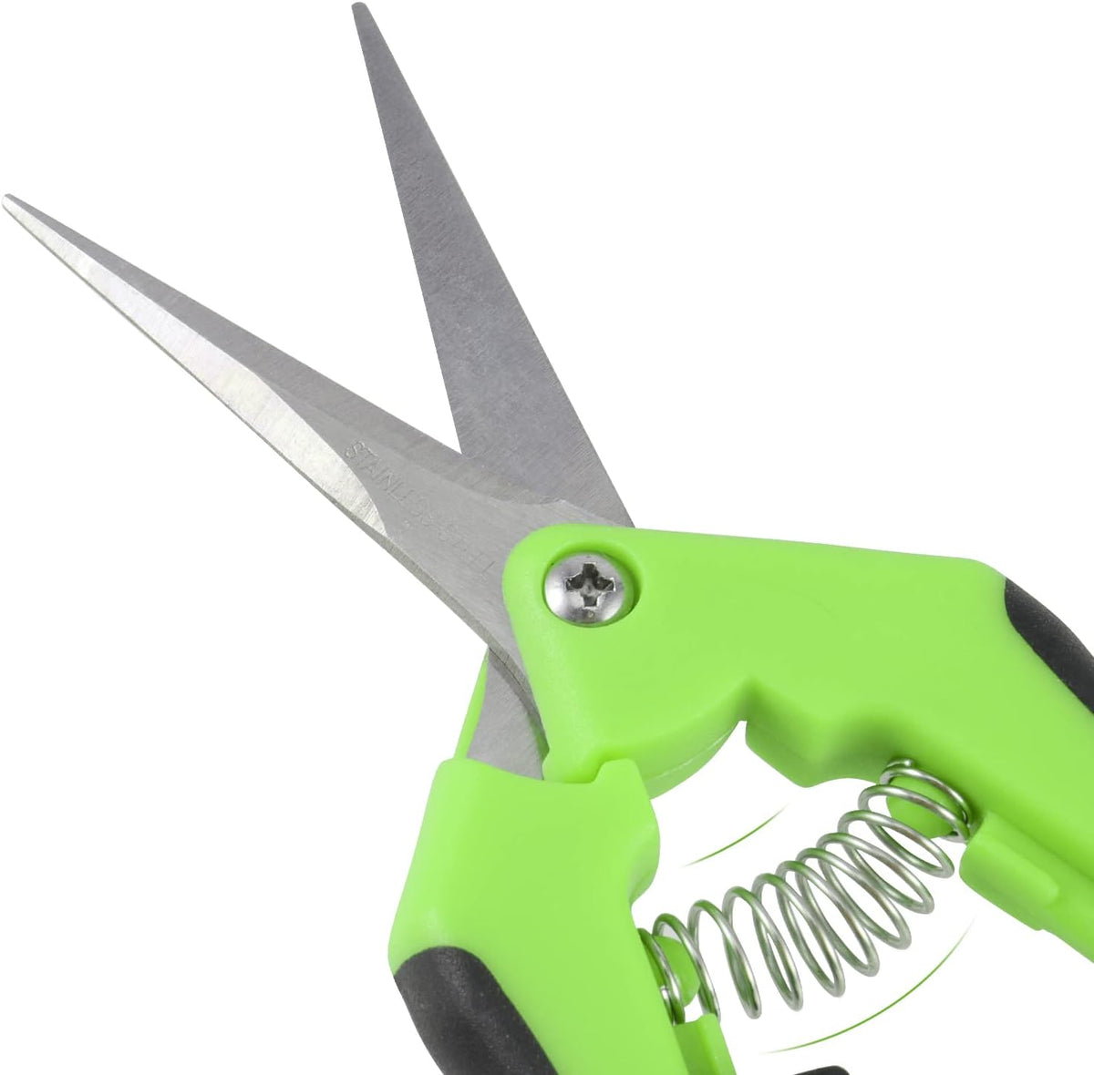 8 Pack 6.5 Inches Bud Trimming Scissors, Gardening Hand Pruning Shears with Straight Tip Stainless Steel Blades, Micro Tip Pruning Snips for Trimming Garden Herb Plant Flower, Green