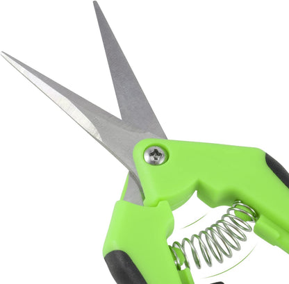 8 Pack 6.5 Inches Bud Trimming Scissors, Gardening Hand Pruning Shears with Straight Tip Stainless Steel Blades, Micro Tip Pruning Snips for Trimming Garden Herb Plant Flower, Green