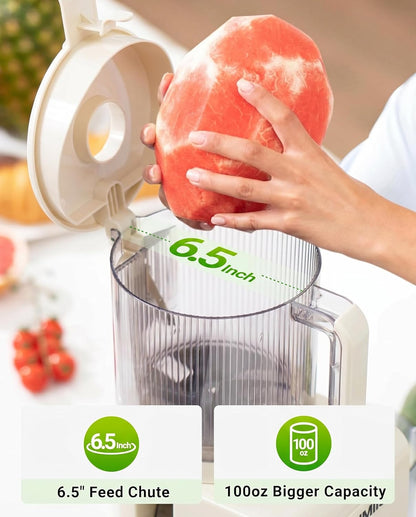 TUUMIIST 3-in-1 Juicer Machines, Makes Juice & Sorbet & Nut Milk