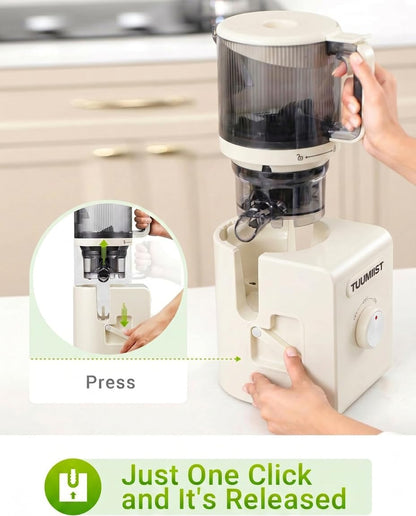 TUUMIIST 3-in-1 Juicer Machines, Makes Juice & Sorbet & Nut Milk