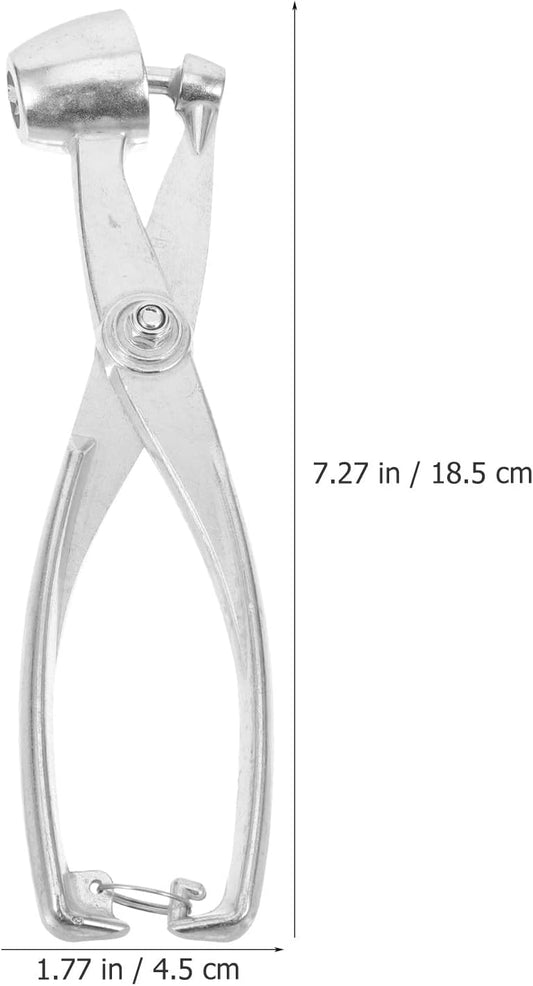 Professional Cherry Pitter and Olive Core Remover Compact Reusable Kitchen Fruit Pitting Tool for Household Use and Fruit Preserve Preparation