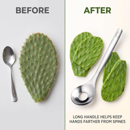 2Pcs Cactus Peeler Spoon, Stainless Steel Rice Meat Dumplings Spoon Squeezing Meatball Artifact Kitchen Tools, Peelers, Graters, Peelers and Slicers for Kitchen Utensils and Gadgets
