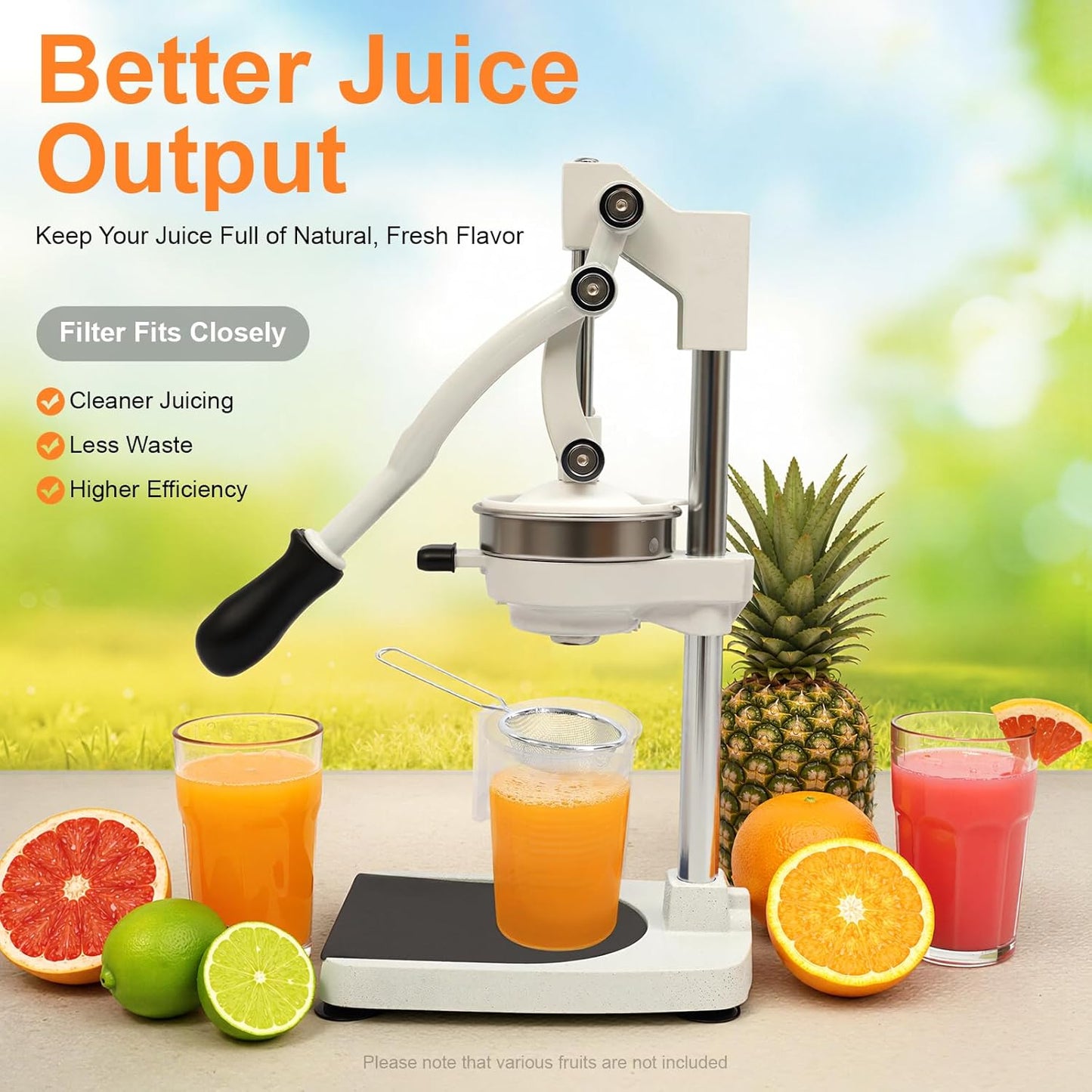 Cast Iron Juicer, Manual Juicer Hand Press Heavy Duty with Stable Base, Commercial Citrus Press for Orange Lemon Lime Grapefruit Pomegranate, Easy to Clean(Filter Bags & Cup)