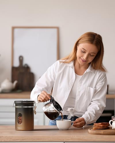 Coffee Canister with Window, Airtight Stainless Steel Container, 22OZ