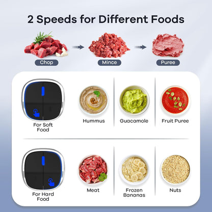 Food Processor with Dual Bowls, 2-Speed Food Chopper & Meat Grinder