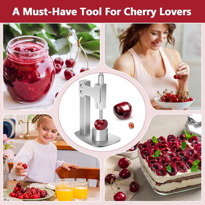 Multitools Stainless Steel Pitter, Olive Pitter Tool Portable Fruit Corer Remover for Cherries, Red Dates, Hawthorn, Grape, Jujube, Easy to Use