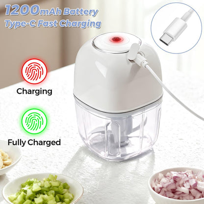 Electric Garlic Chopper, 350ML Mini Portable Mincer Masher 6 Blade