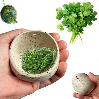 Pottery Herb Stripper Bowl - 2025 Handmade Ceramic Herb Peeling Tool, with Four Holes of Different Sizes to Separate Leaves and Stems, Suitable for Cilantro, Rosemary, Parsley