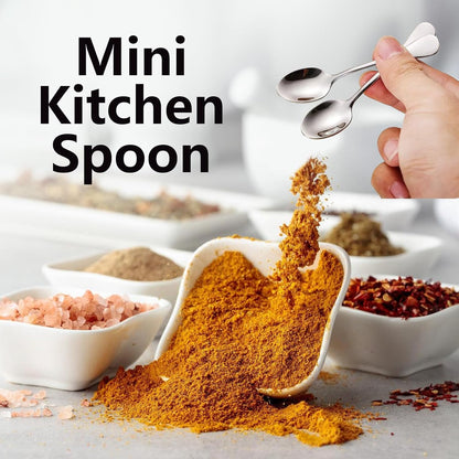 4 PCS Tiny Stainless Steel Spoons, [Upgraded Larger Size, 3.54"] Mini Spoons for Spices Jars, Small Condiment Spoon for Spices, Salt, Sugar, Pepper, Honey