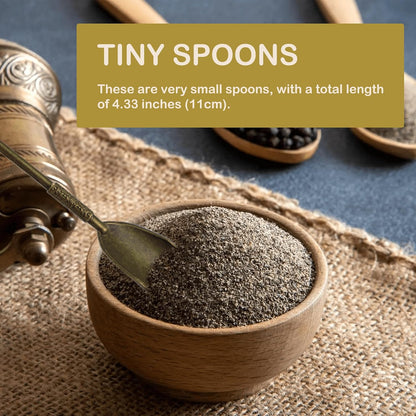 6-Pack Mini Spoons Metal Tiny Shovels 3-Inch Small Medicine Measuring Spoon
