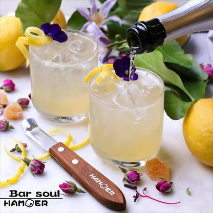 Lemon Zester & Channel Knife 2Tools for Cocktails with a storage box | Stainless steel blade,Home Bars Bartender Gift,Carving Tool for Garnishing,for Cocktails,Citrus Twist Grates Tool