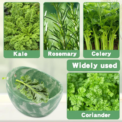 Pottery Herb Stripper Bowl, Handmade Herb Stripper Ceramic Bowl with 4-Slot Different Hole Sizes for Kale, Herbs & Broccoli, Efficient Peeling Off the Leafy Assembly(White)