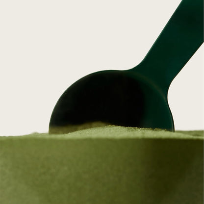 Stainless Steel Scoop or Greens Powder | Precision Measuring Tool | Premium Metal Design Ideal for Supplements, Protein Blends, and Dry Ingredients, Easy Portioning, Convenient Use