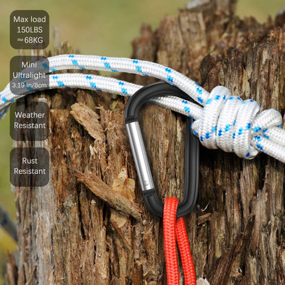 3" Aluminum Carabiner D Ring, Caribeener Clips, Spring Snap Hook for Keychain Clip, Set of 10