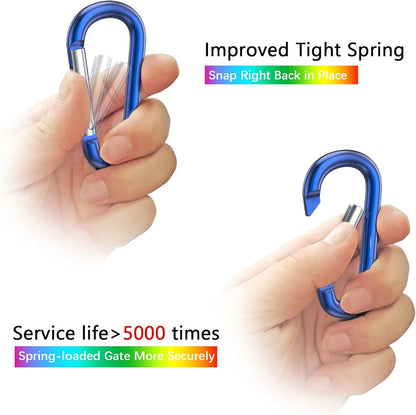 3" Aluminum Carabiner D Ring, Caribeener Clips, Spring Snap Hook for Keychain Clip, Set of 10