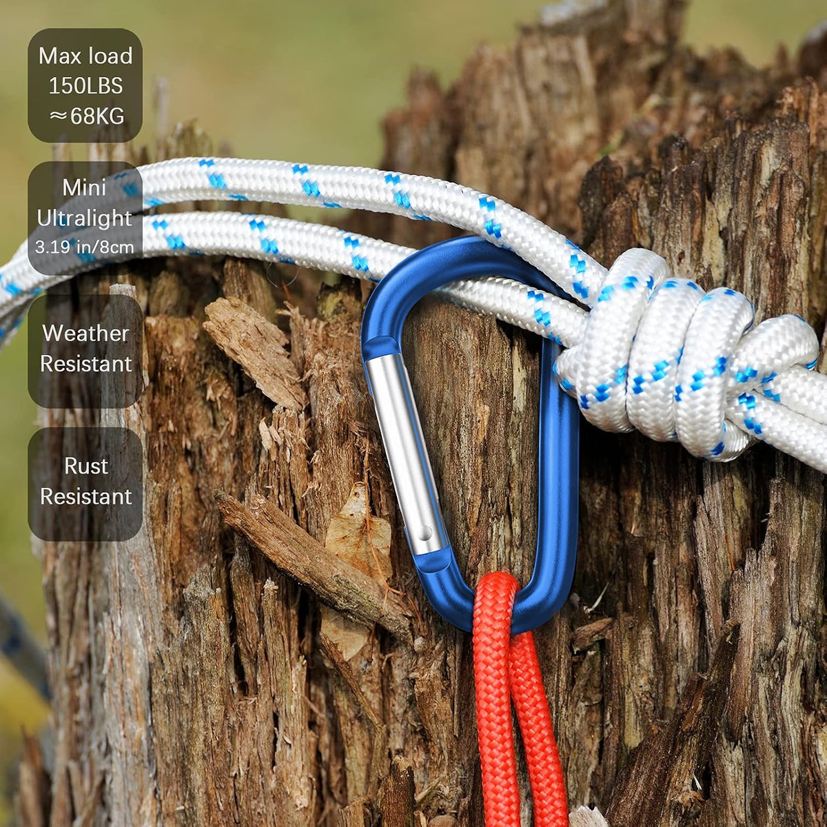 3" Aluminum Carabiner D Ring, Caribeener Clips, Spring Snap Hook for Keychain Clip, Set of 10