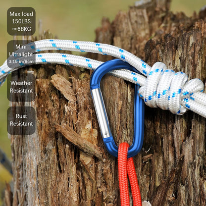 3" Aluminum Carabiner D Ring, Caribeener Clips, Spring Snap Hook for Keychain Clip, Set of 10