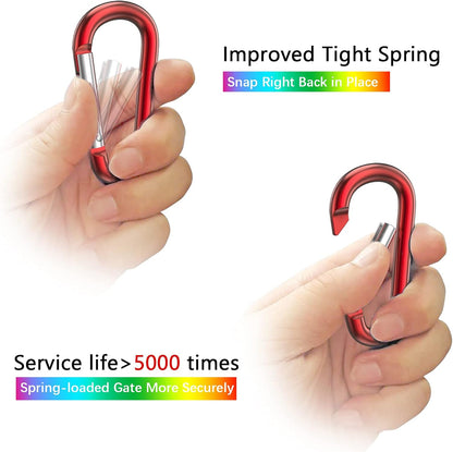3" Aluminum Carabiner D Ring, Caribeener Clips, Spring Snap Hook for Keychain Clip, Set of 10