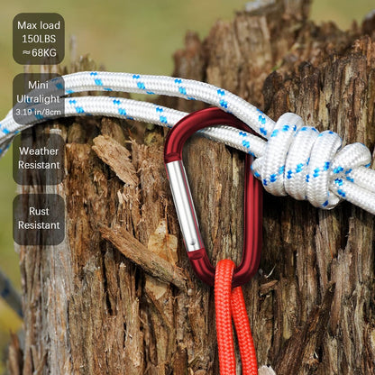 3" Aluminum Carabiner D Ring, Caribeener Clips, Spring Snap Hook for Keychain Clip, Set of 10