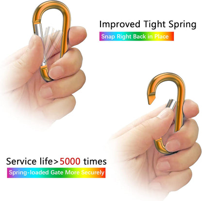 3" Aluminum Carabiner D Ring, Caribeener Clips, Spring Snap Hook for Keychain Clip, Set of 10