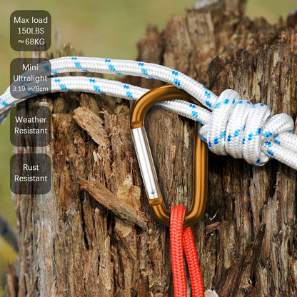 3" Aluminum Carabiner D Ring, Caribeener Clips, Spring Snap Hook for Keychain Clip, Set of 10