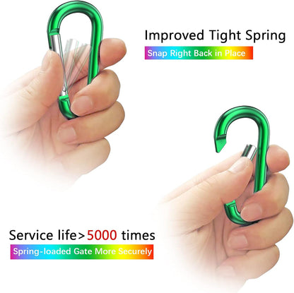 3" Aluminum Carabiner D Ring, Caribeener Clips, Spring Snap Hook for Keychain Clip, Set of 10