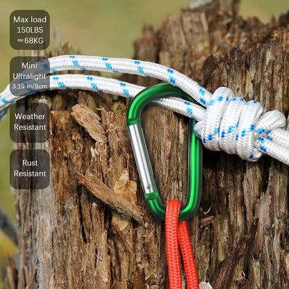 3" Aluminum Carabiner D Ring, Caribeener Clips, Spring Snap Hook for Keychain Clip, Set of 10