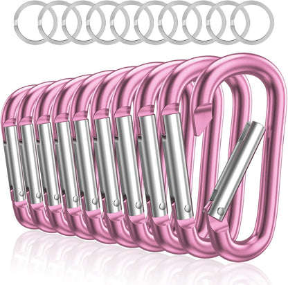 3" Aluminum Carabiner D Ring, Caribeener Clips, Spring Snap Hook for Keychain Clip, Set of 10