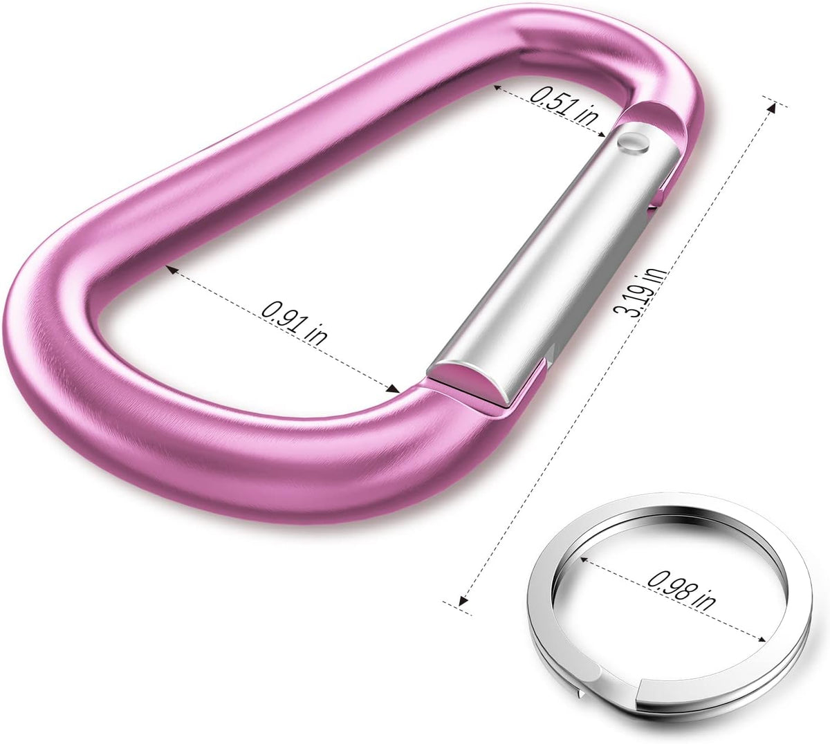 3" Aluminum Carabiner D Ring, Caribeener Clips, Spring Snap Hook for Keychain Clip, Set of 10