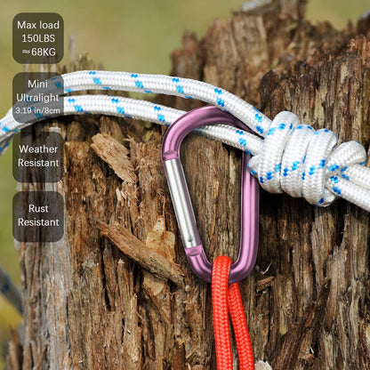 3" Aluminum Carabiner D Ring, Caribeener Clips, Spring Snap Hook for Keychain Clip, Set of 10