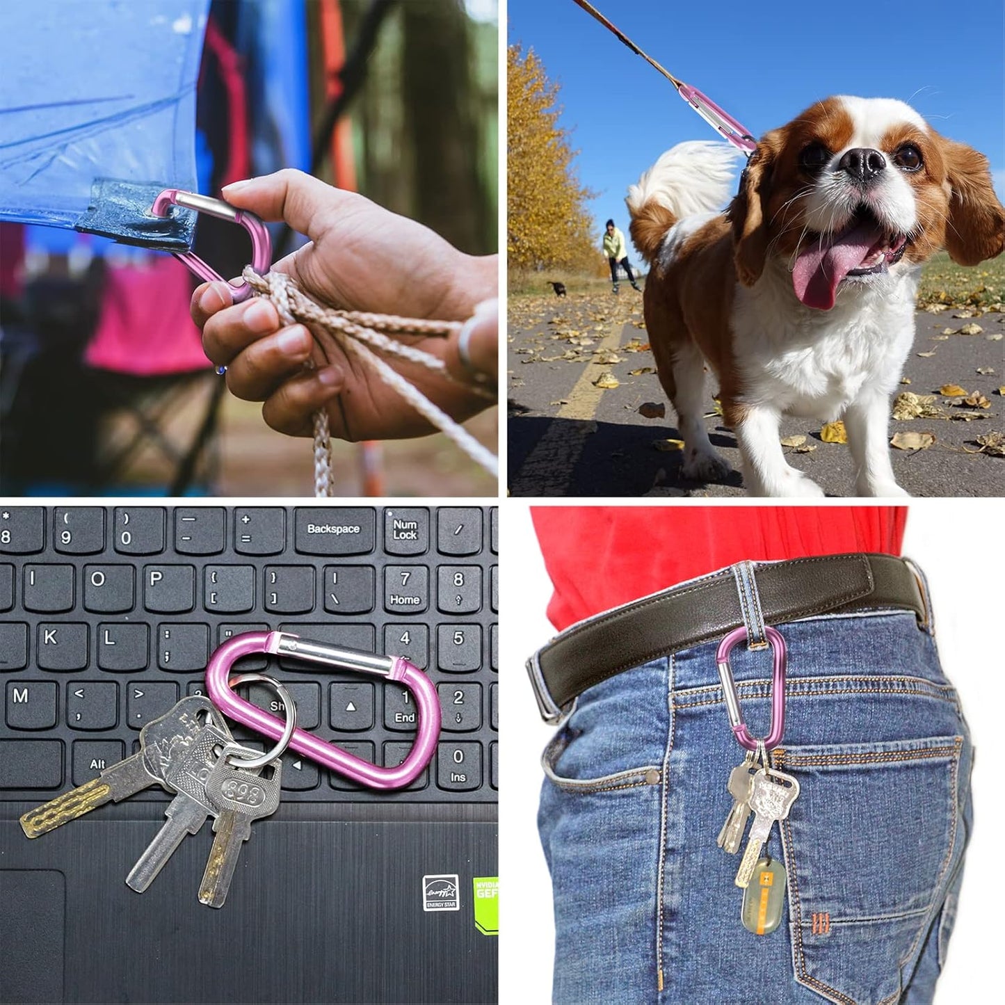 3" Aluminum Carabiner D Ring, Caribeener Clips, Spring Snap Hook for Keychain Clip, Set of 10