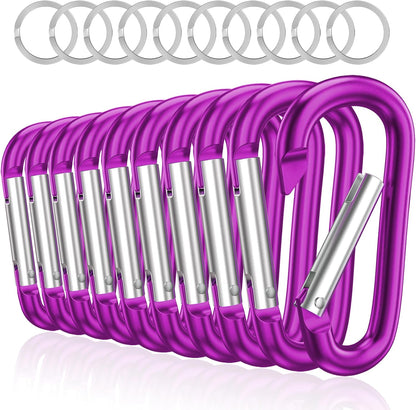 3" Aluminum Carabiner D Ring, Caribeener Clips, Spring Snap Hook for Keychain Clip, Set of 10
