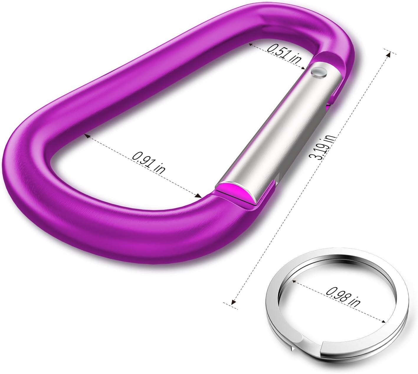 3" Aluminum Carabiner D Ring, Caribeener Clips, Spring Snap Hook for Keychain Clip, Set of 10