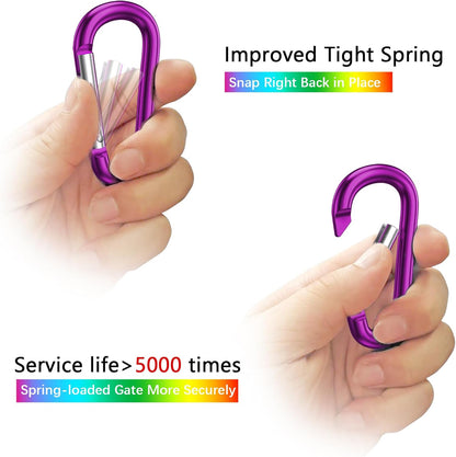 3" Aluminum Carabiner D Ring, Caribeener Clips, Spring Snap Hook for Keychain Clip, Set of 10
