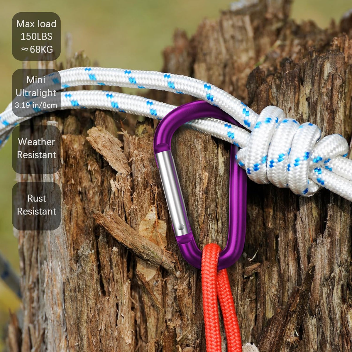 3" Aluminum Carabiner D Ring, Caribeener Clips, Spring Snap Hook for Keychain Clip, Set of 10