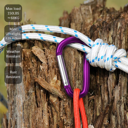 3" Aluminum Carabiner D Ring, Caribeener Clips, Spring Snap Hook for Keychain Clip, Set of 10