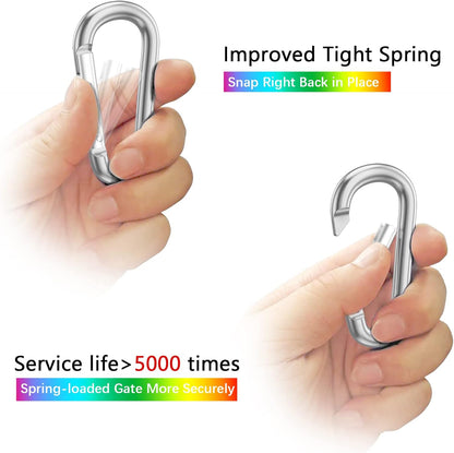 3" Aluminum Carabiner D Ring, Caribeener Clips, Spring Snap Hook for Keychain Clip, Set of 10