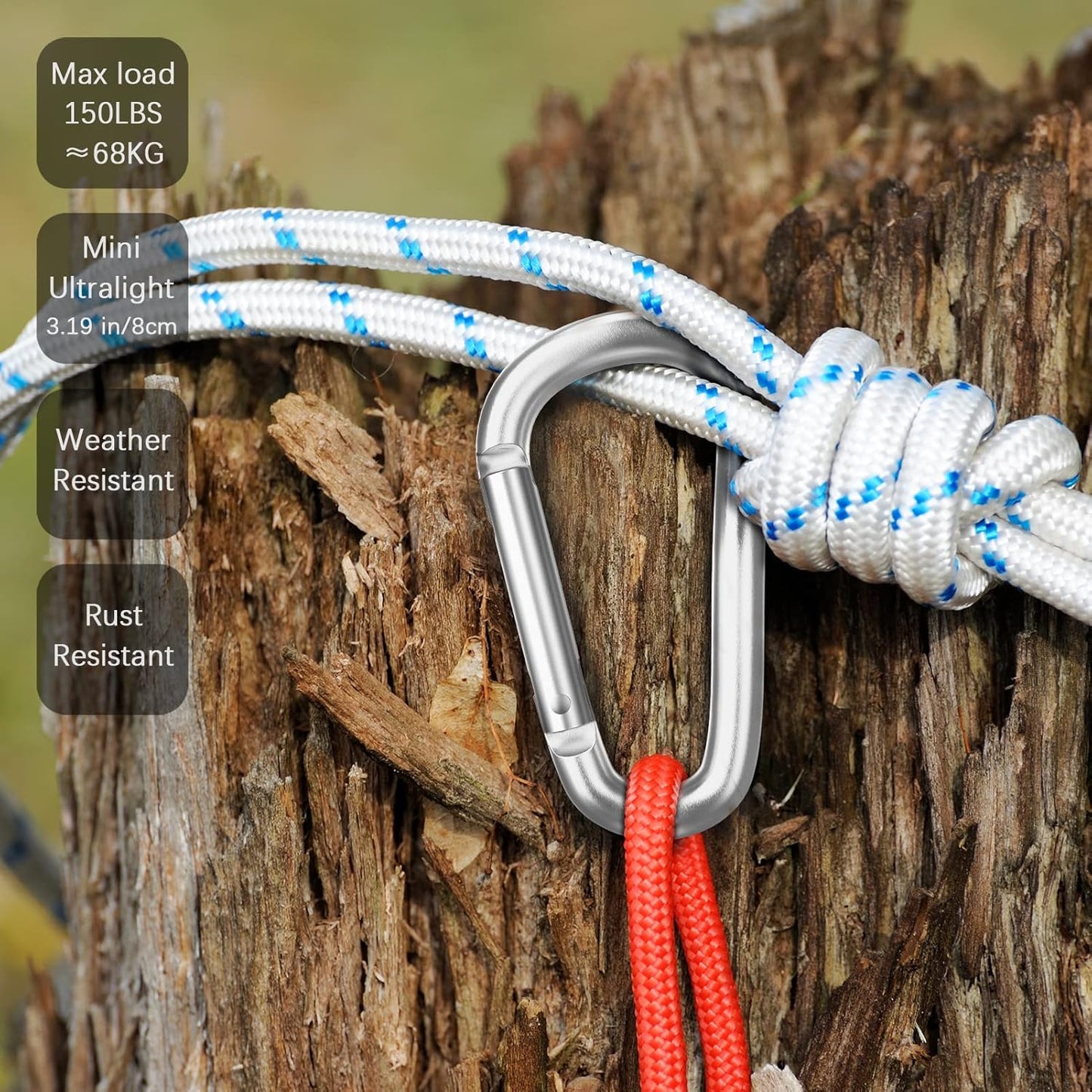 3" Aluminum Carabiner D Ring, Caribeener Clips, Spring Snap Hook for Keychain Clip, Set of 10