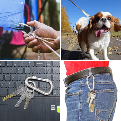 3" Aluminum Carabiner D Ring, Caribeener Clips, Spring Snap Hook for Keychain Clip, Set of 10