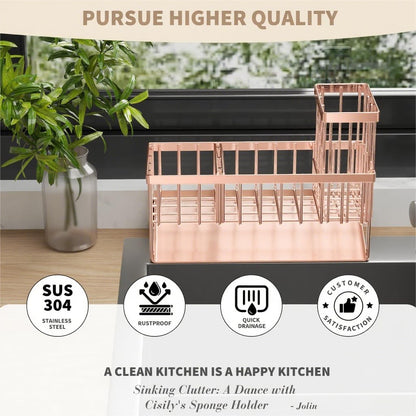 Cisily Sink Caddy Sponge Holder for Kitchen with Brush Holder and Stainless Steel Self Drain Tray, Rustproof Kitchen Sink Organizer for Sponge, Soap Dispenser Storage Accessories