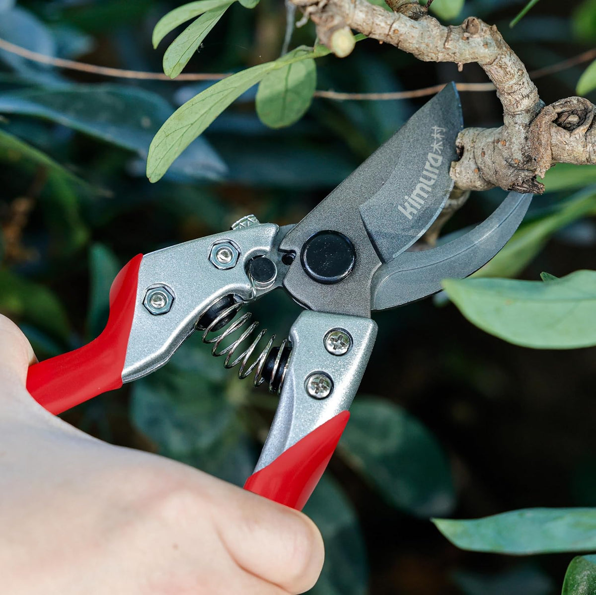 ® 8" Pro Pruning Scissors, Premium Japanese SK5 Hi-Carbon Steel Blades, Non-Slip Vinyl Coated Handles, Lightweight & Ergonomic, Multi-Tasking Pruning Shears, Garden Snips, Precision Clippers