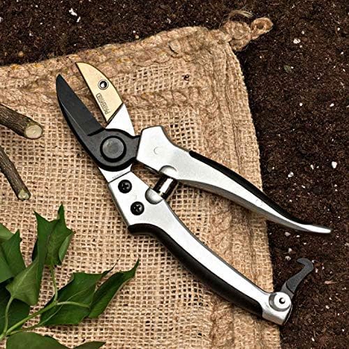Pruning Shears - Garden Scissors Florist Snips - 2.5” Blades - Flower Scissors for Cutting Fresh Flowers, Trimming, or Harvesting Herbs or Fruit - Pruners for Gardening Tools